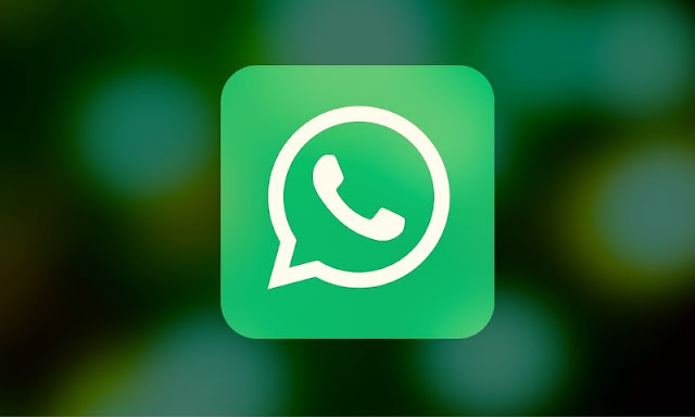 Cara Download Status Foto Dan Video Di WhatsApp Tanpa Root dan Aplikasi Tambahan